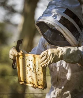  “The Honey Thief” – A Sweet Tale with Unexpected Consequences From Ancient Ethiopia